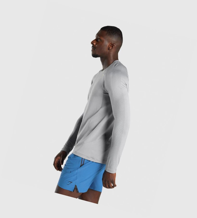 Gymshark Apex Seamless T-skjorte Herre Grå | PDNJZV279