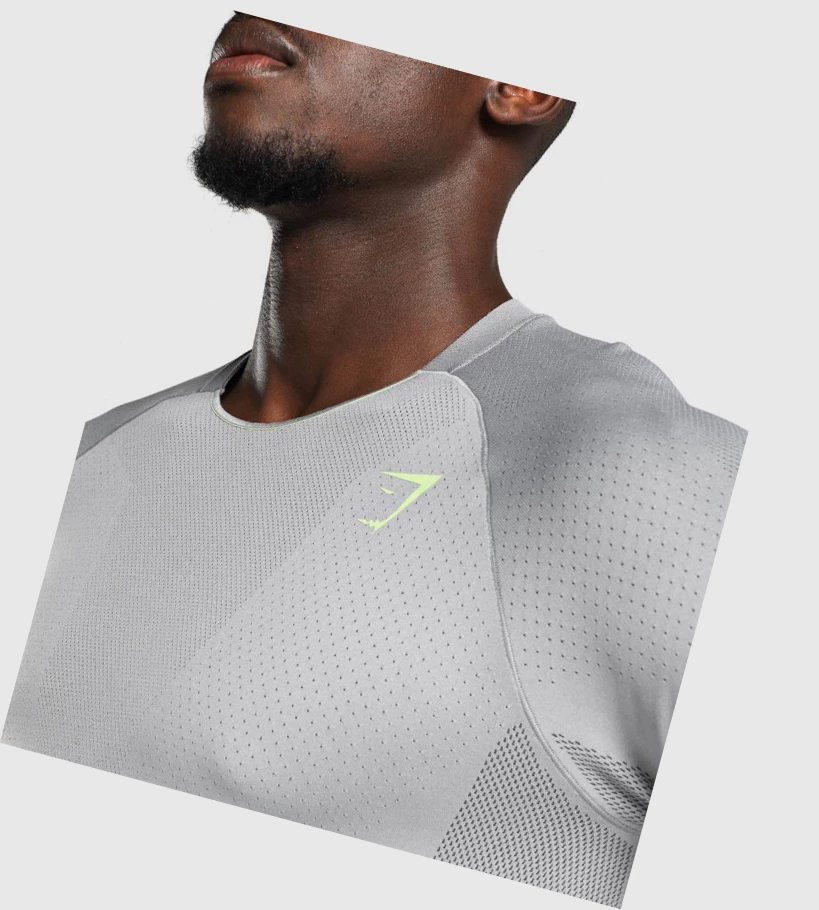 Gymshark Apex Seamless T-skjorte Herre Grå | PDNJZV279