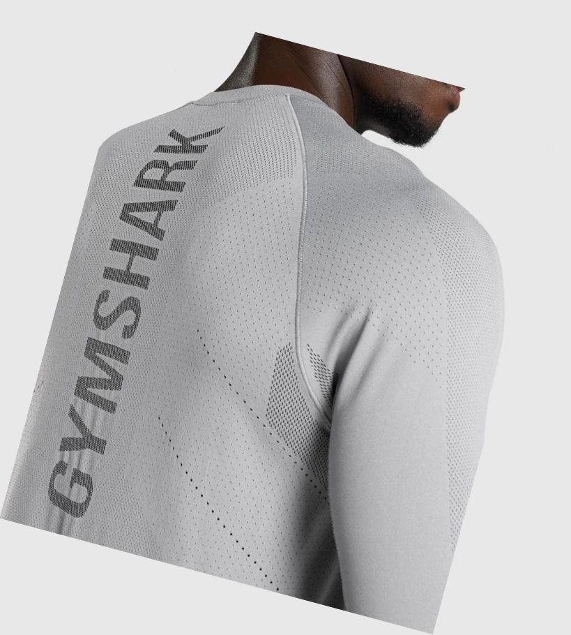 Gymshark Apex Seamless T-skjorte Herre Grå | PDNJZV279