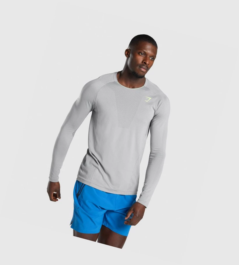 Gymshark Apex Seamless T-skjorte Herre Grå | PDNJZV279