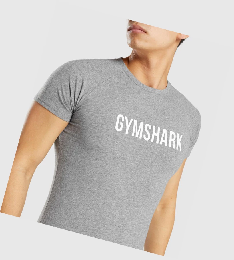 Gymshark Apollo T-skjorte Herre Grå | FRDAHE627