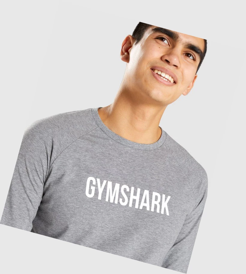 Gymshark Apollo T-skjorte Herre Grå | HBEDXM327