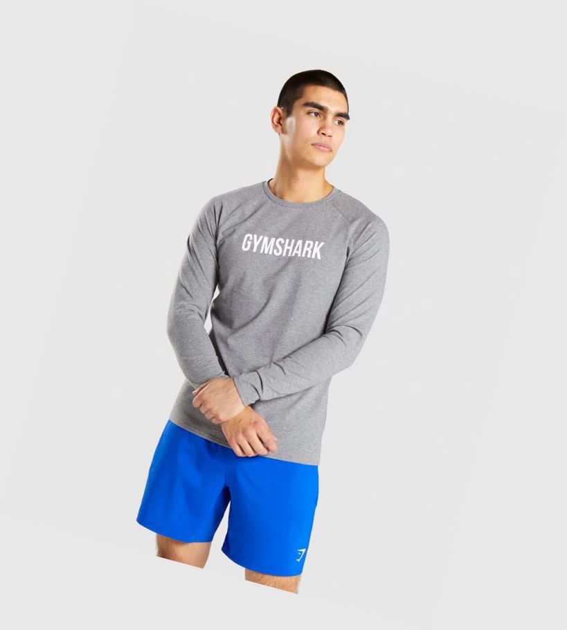 Gymshark Apollo T-skjorte Herre Grå | HBEDXM327