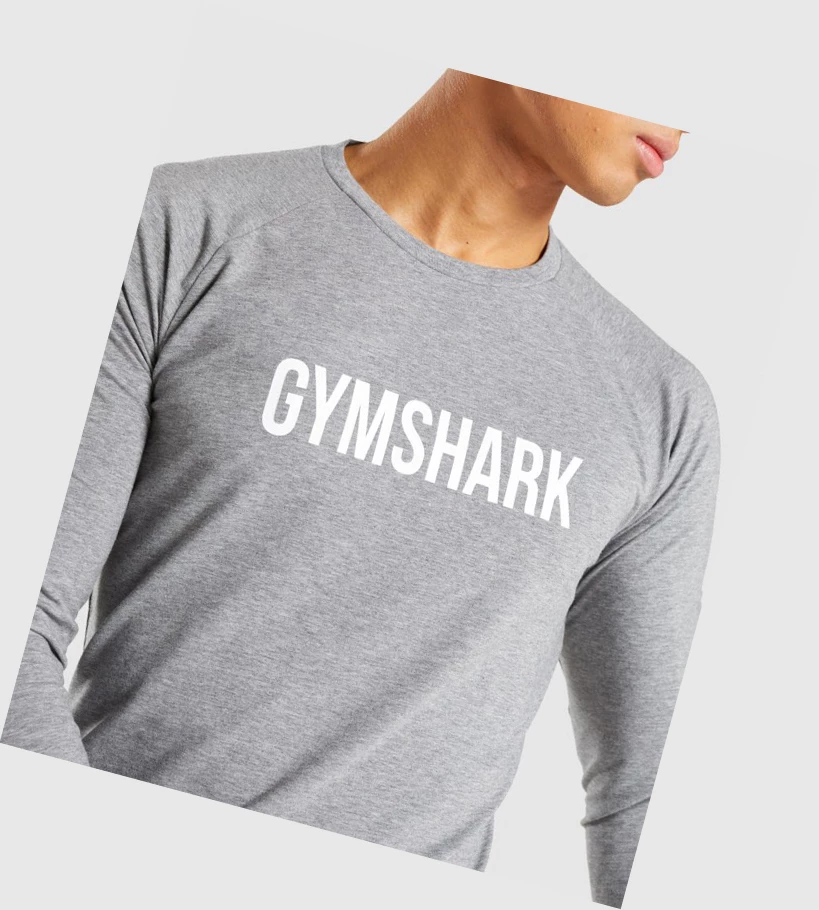 Gymshark Apollo T-skjorte Herre Grå | ICMDVZ786