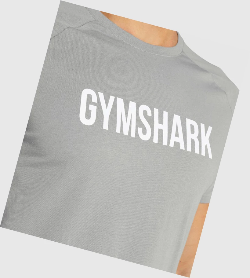 Gymshark Apollo T-skjorte Herre Grå | JQFONI629