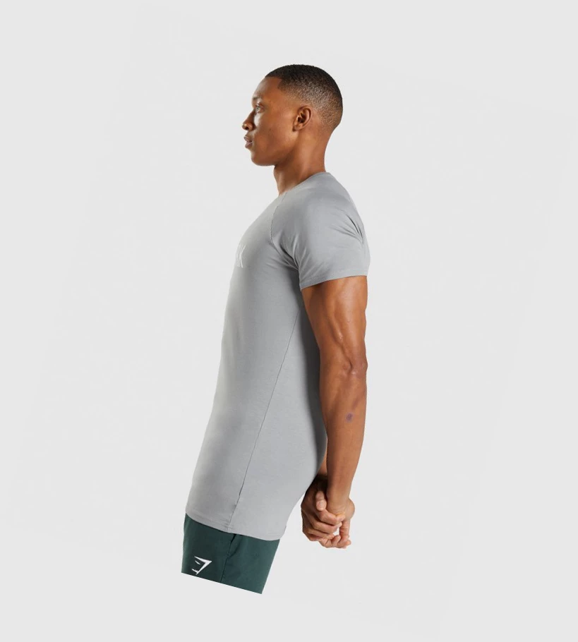 Gymshark Apollo T-skjorte Herre Grå | UOHKTS083