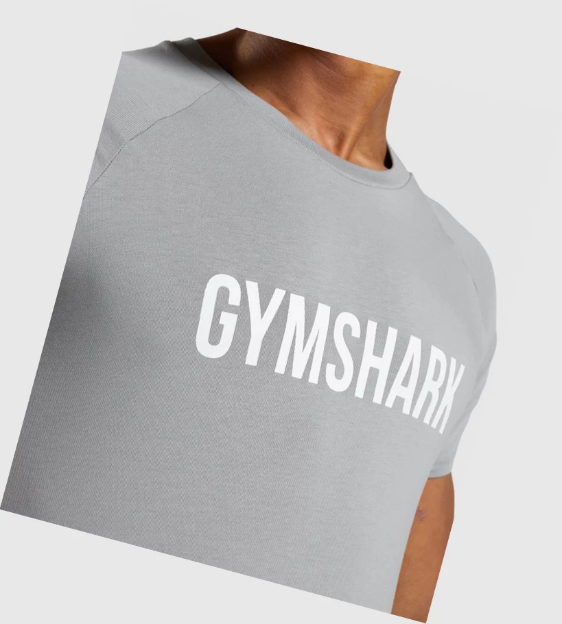 Gymshark Apollo T-skjorte Herre Grå | UOHKTS083