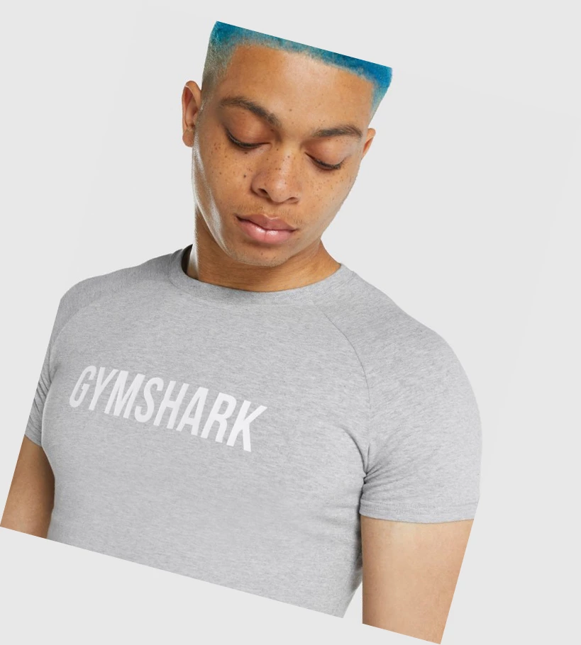 Gymshark Apollo T-skjorte Herre Lyse Grå | BUZJYP306