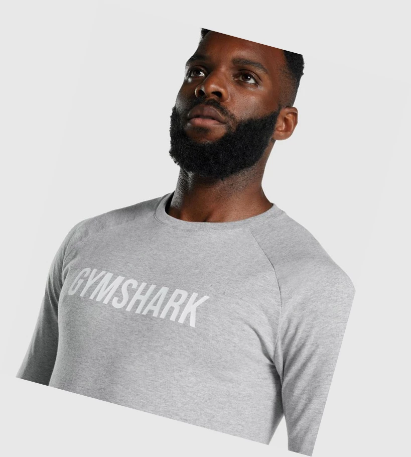 Gymshark Apollo T-skjorte Herre Lyse Grå | CJTQOH859