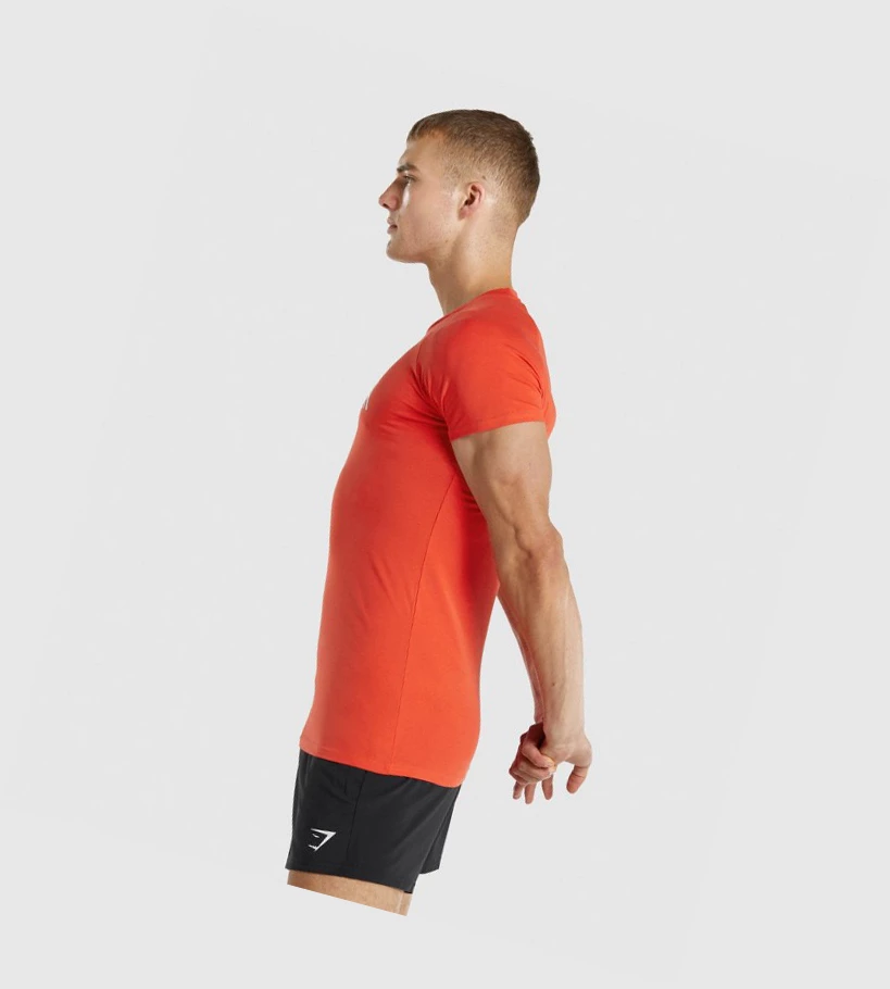 Gymshark Apollo T-skjorte Herre Oransje | AOJYVB489