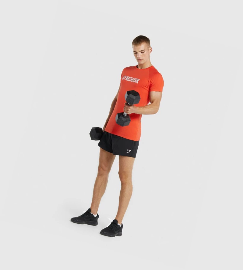 Gymshark Apollo T-skjorte Herre Oransje | AOJYVB489