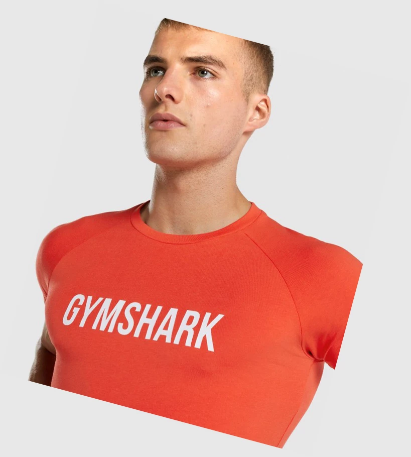 Gymshark Apollo T-skjorte Herre Oransje | AOJYVB489