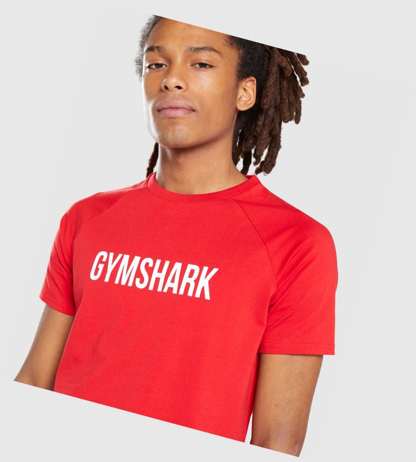 Gymshark Apollo T-skjorte Herre Rød | LFZRVK792