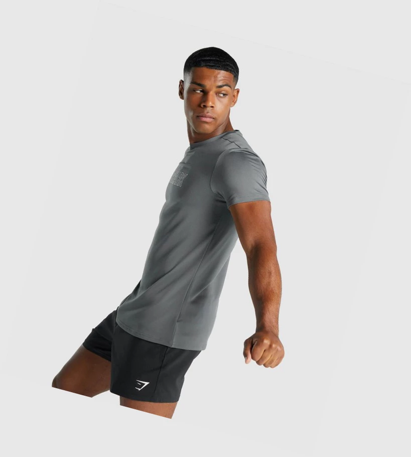 Gymshark Arrival Grafiske T-skjorte Herre Grå | ATQXWL803