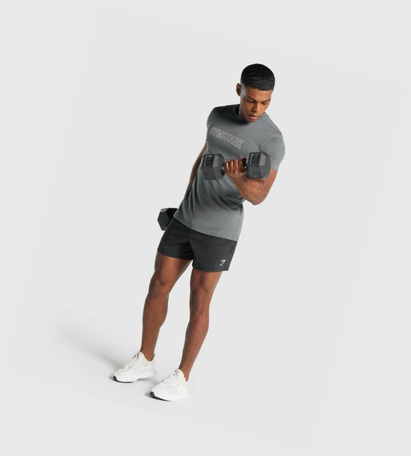 Gymshark Arrival Grafiske T-skjorte Herre Grå | ATQXWL803