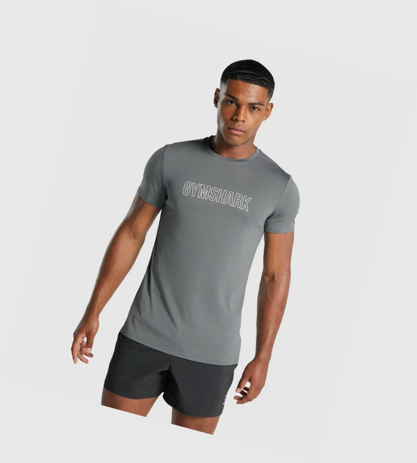 Gymshark Arrival Grafiske T-skjorte Herre Grå | ATQXWL803