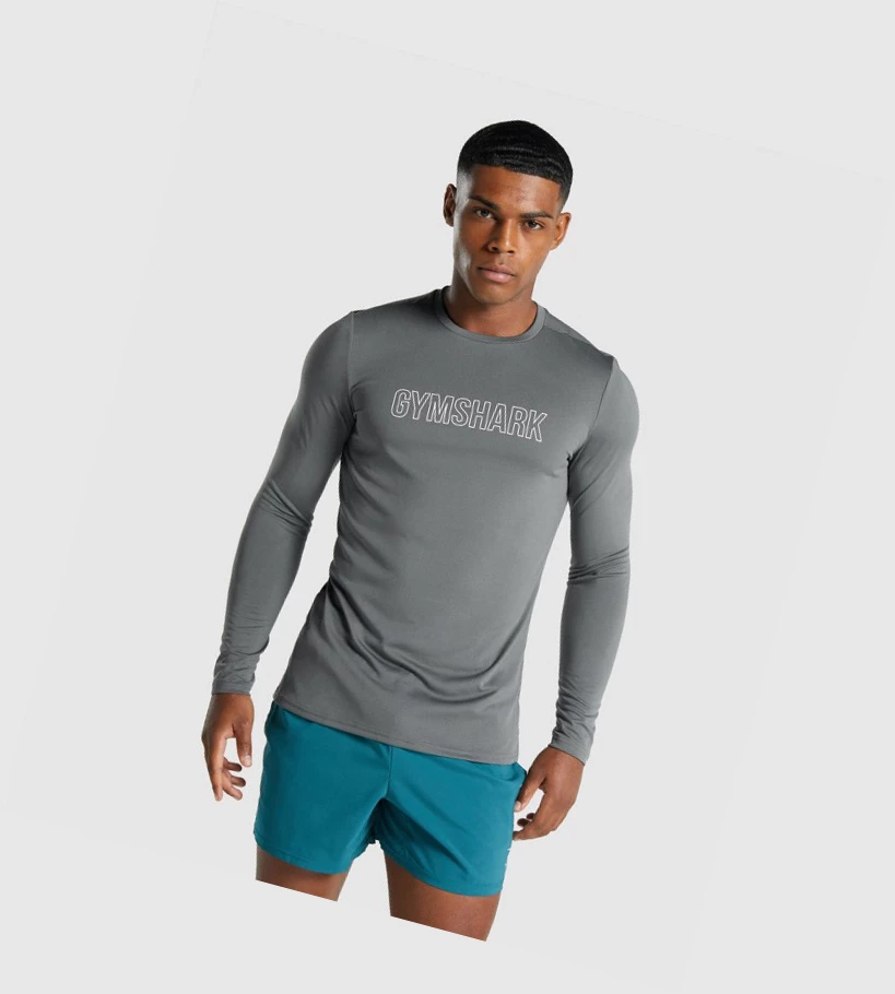 Gymshark Arrival Grafiske T-skjorte Herre Grå | XREACZ983