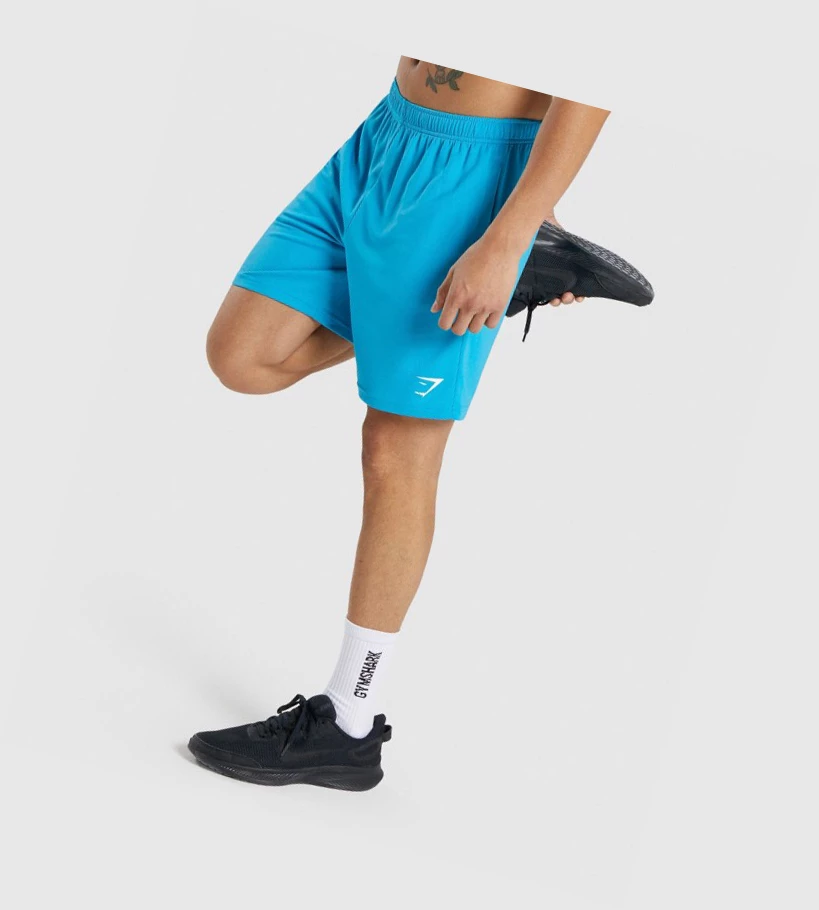 Gymshark Arrival Knitted Shorts Herre Lyse Blå | CJGBYO329