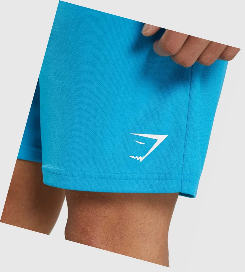 Gymshark Arrival Knitted Shorts Herre Lyse Blå | CJGBYO329