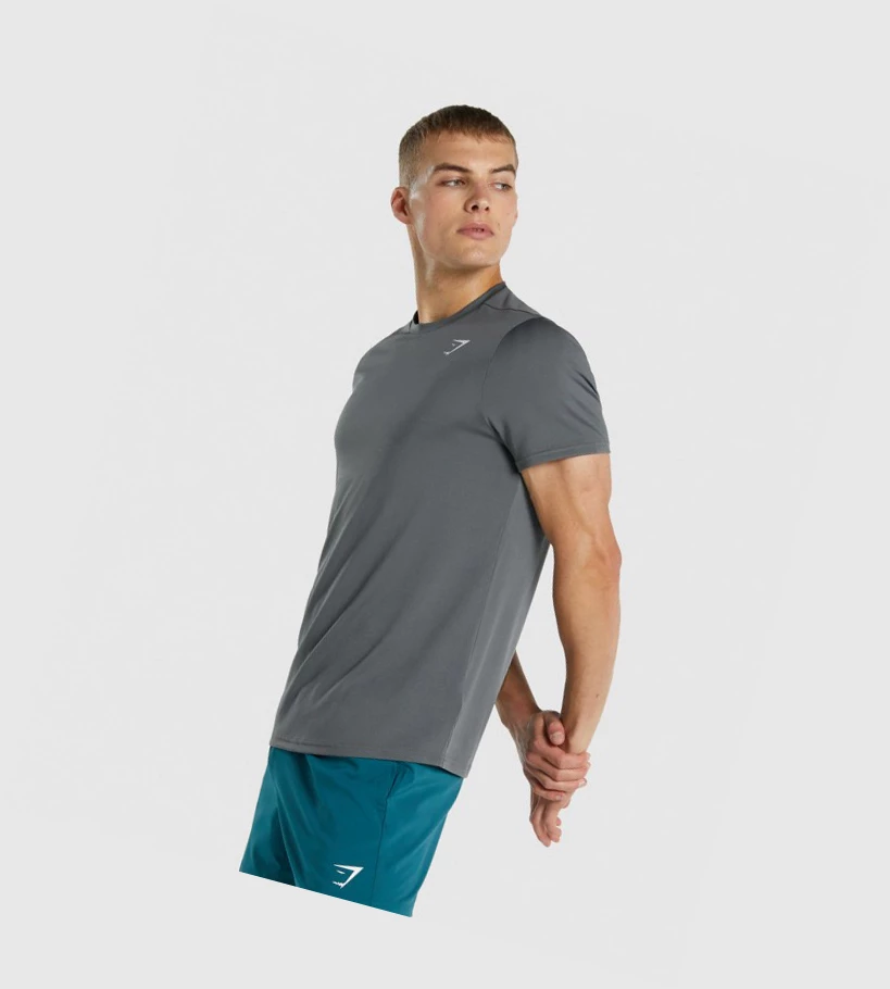 Gymshark Arrival Regular Fit T-skjorte Herre Grå | HJTBXU802