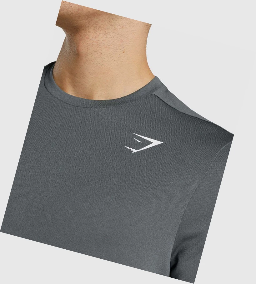 Gymshark Arrival Regular Fit T-skjorte Herre Grå | HJTBXU802