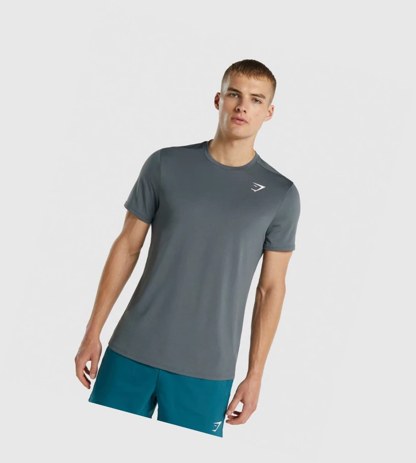 Gymshark Arrival Regular Fit T-skjorte Herre Grå | HJTBXU802