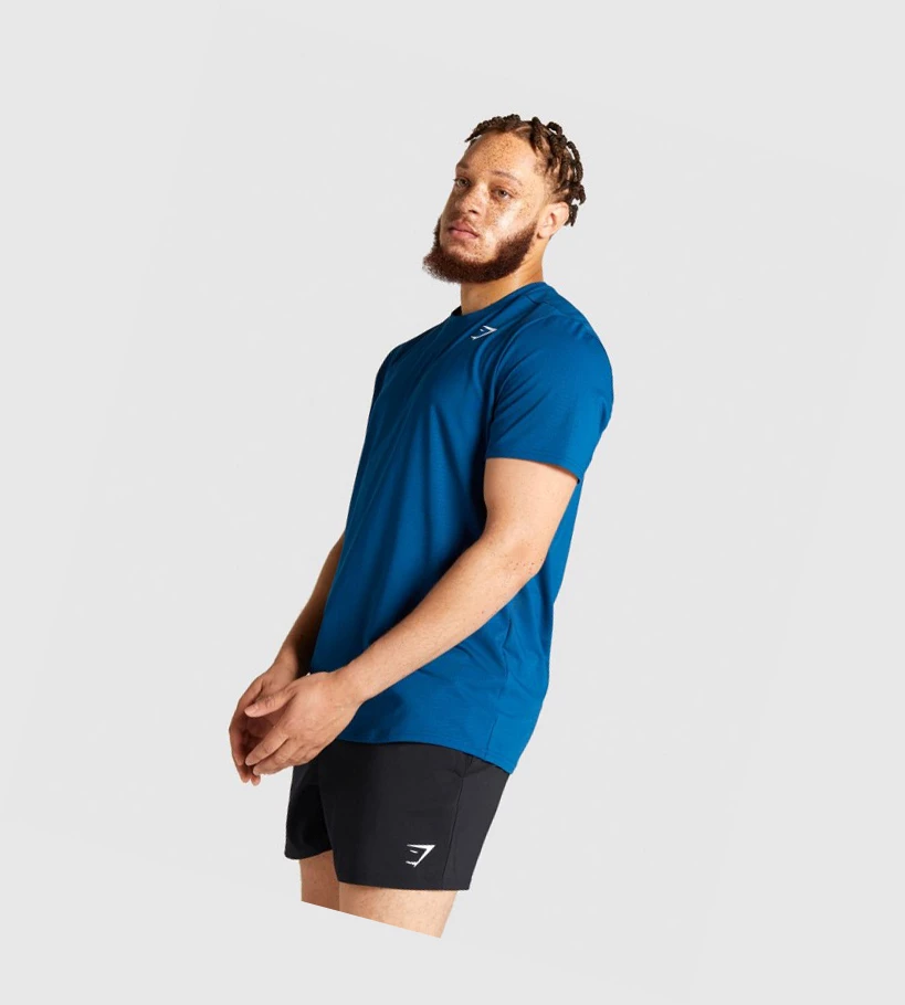 Gymshark Arrival Regular Fit T-skjorte Herre Blå | PGHQKU584