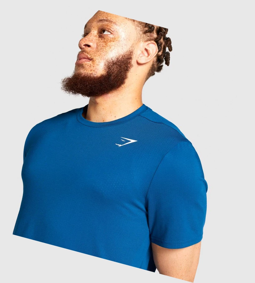 Gymshark Arrival Regular Fit T-skjorte Herre Blå | PGHQKU584