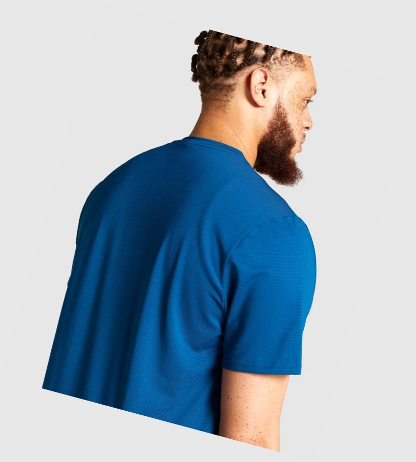 Gymshark Arrival Regular Fit T-skjorte Herre Blå | PGHQKU584