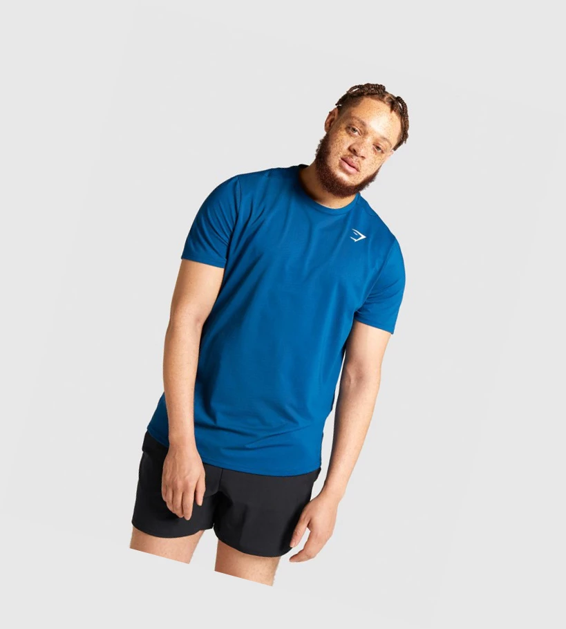 Gymshark Arrival Regular Fit T-skjorte Herre Blå | PGHQKU584