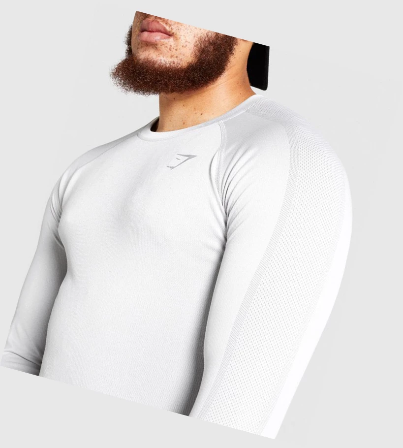 Gymshark Aspect Lette Seamless T-skjorte Herre Lyse Grå | CJNMPG104