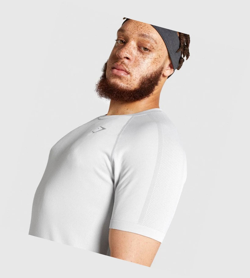 Gymshark Aspect Lette Seamless T-skjorte Herre Lyse Grå | STJWCN175