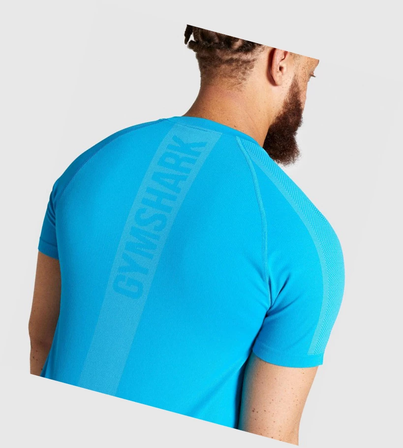 Gymshark Aspect Lette Seamless T-skjorte Herre Blå | ZHSTDY081