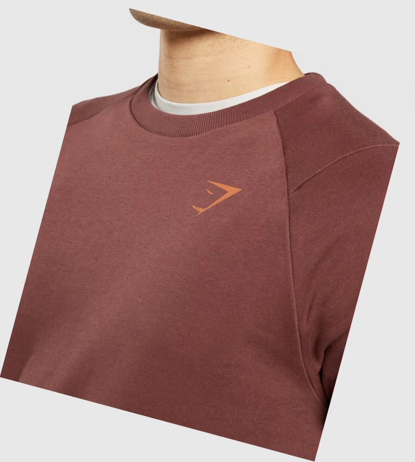 Gymshark Bold Crew Klær Herre Rosa Brune | PKFGER457