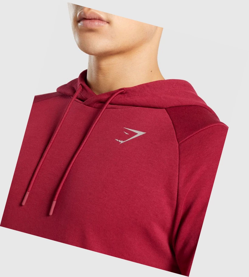 Gymshark Bold Klær Herre Burgunder | ZTHEFL138