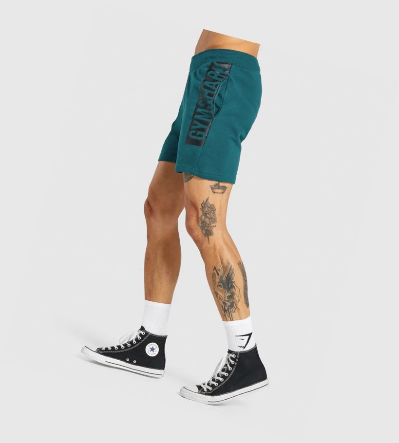 Gymshark Bold Shorts Herre Turkis | MEKJYR270