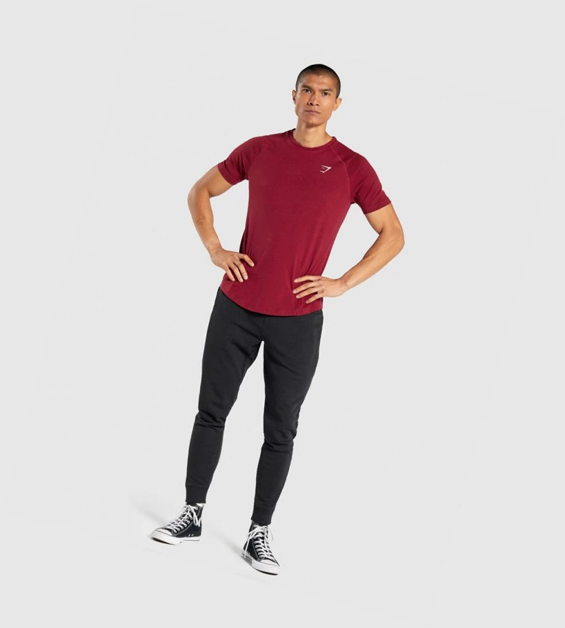 Gymshark Bold T-skjorte Herre Burgunder | QPKOAJ564