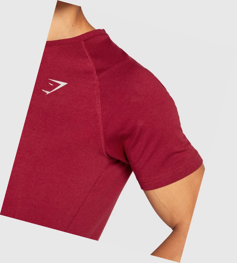 Gymshark Bold T-skjorte Herre Burgunder | QPKOAJ564