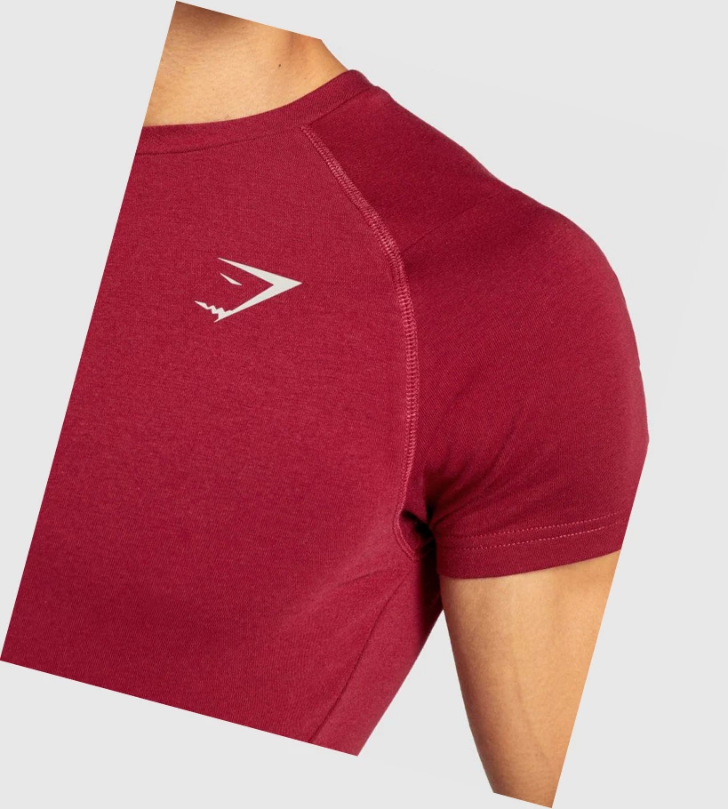 Gymshark Bold T-skjorte Herre Burgunder | VMCRUH948