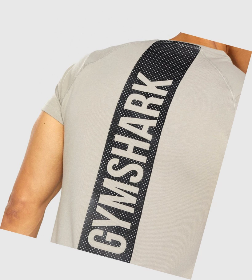 Gymshark Bold T-skjorte Herre Grå | GDHZST340