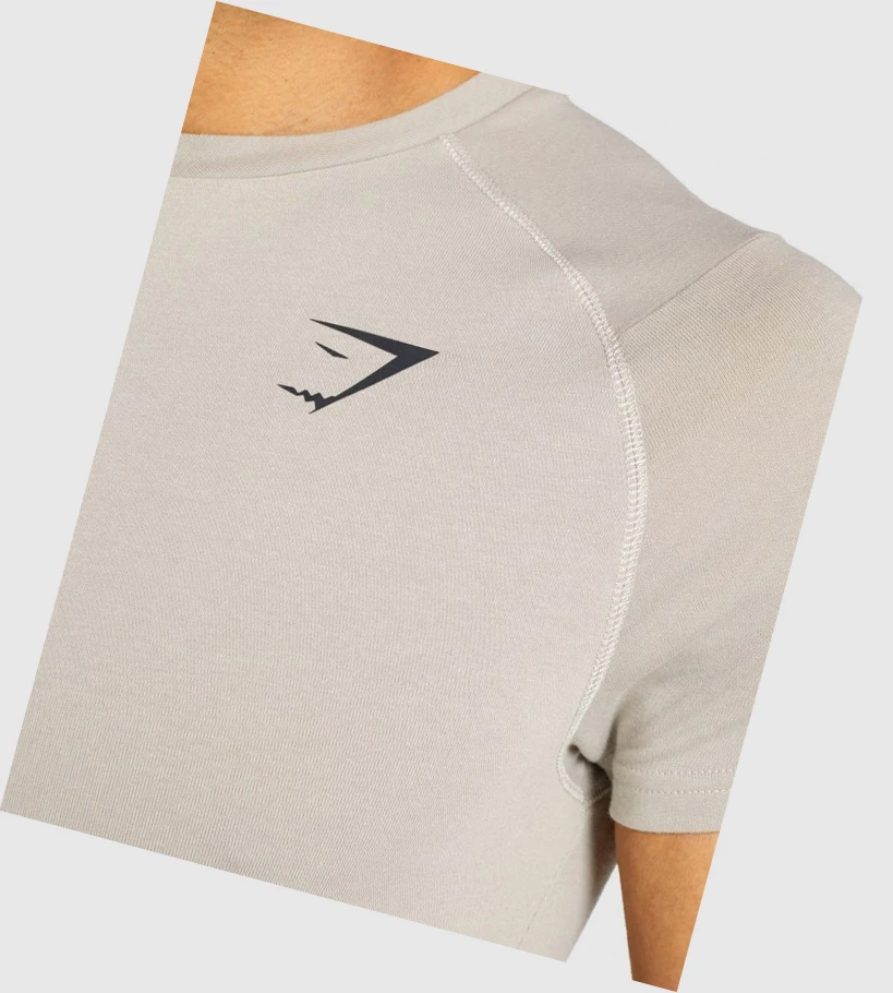 Gymshark Bold T-skjorte Herre Grå | GDHZST340