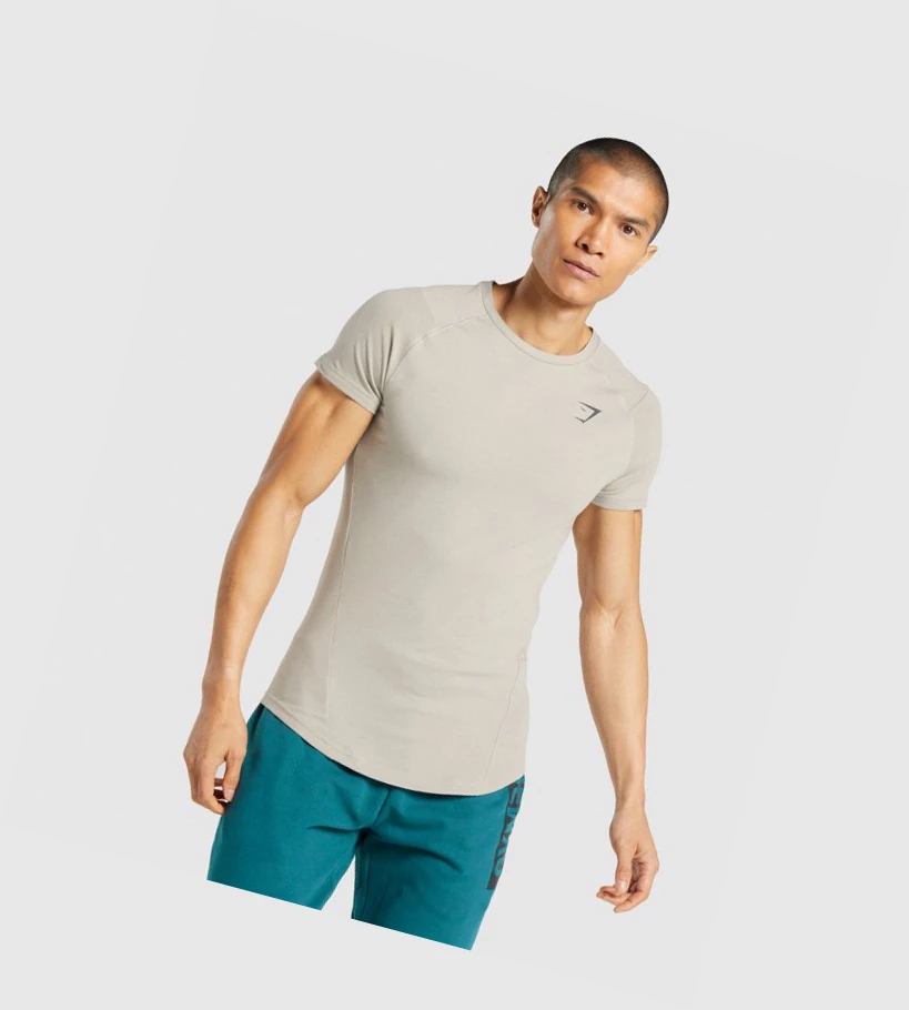 Gymshark Bold T-skjorte Herre Grå | GDHZST340