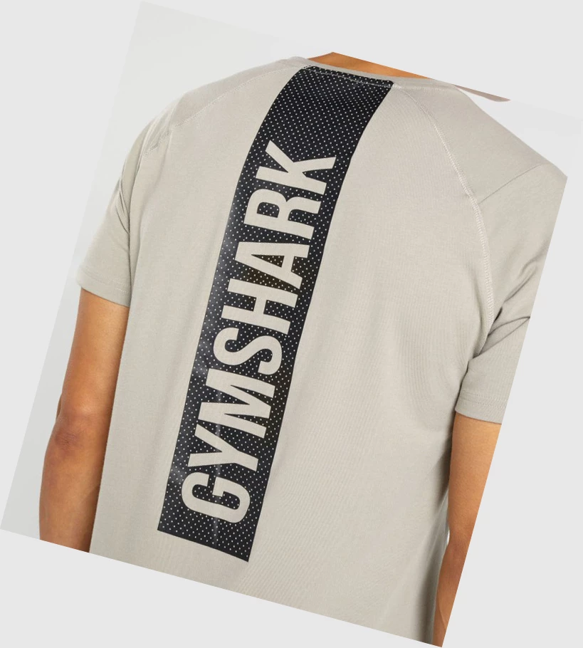 Gymshark Bold T-skjorte Herre Grå | IFVTRJ317