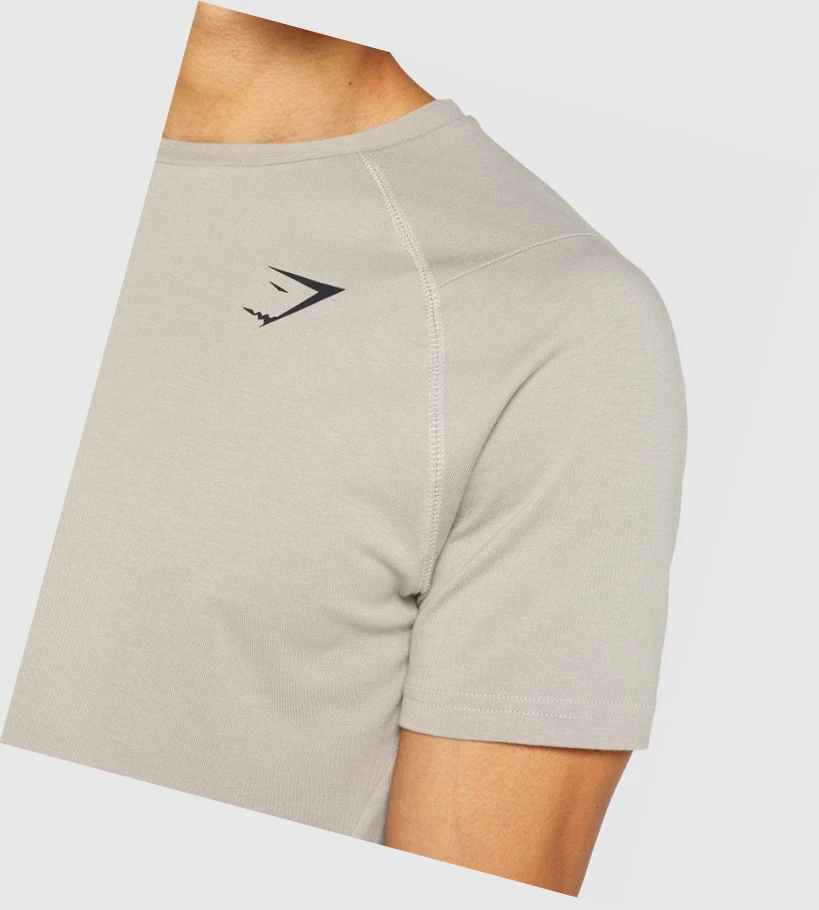 Gymshark Bold T-skjorte Herre Grå | IFVTRJ317