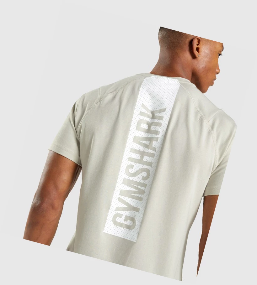 Gymshark Bold T-skjorte Herre Grå | WRBKYU106