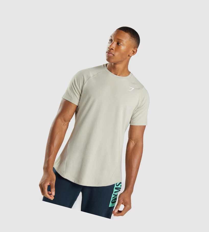 Gymshark Bold T-skjorte Herre Grå | WRBKYU106