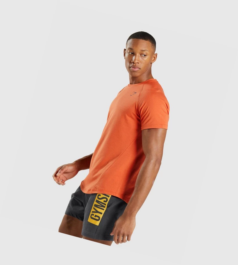 Gymshark Bold T-skjorte Herre Oransje | UHKCJV429