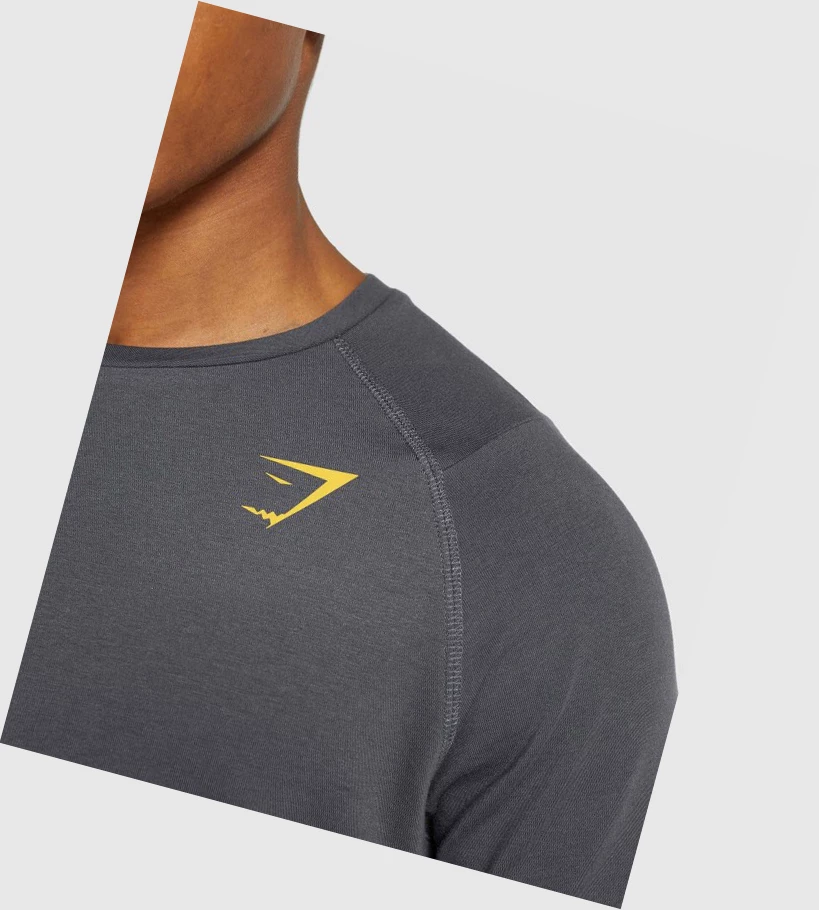 Gymshark Bold T-skjorte Herre Svarte Grå | BQRDFU475