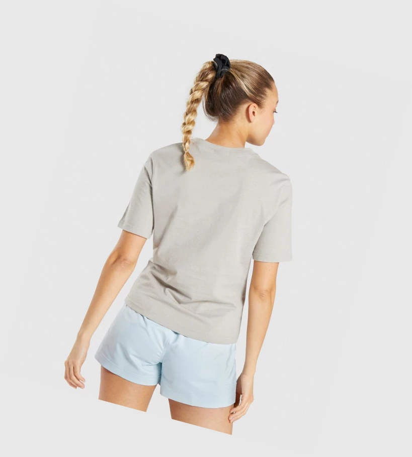 Gymshark CTY T-skjorte Dame Grå | CWNZXE739