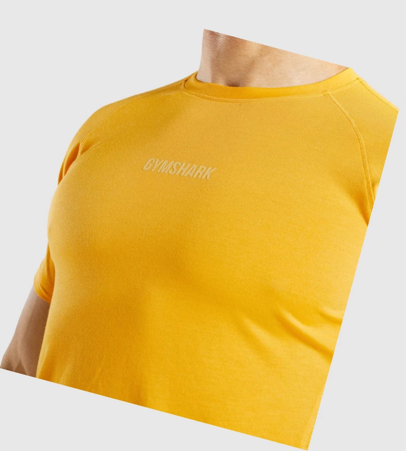 Gymshark Chalk T-skjorte Herre Gul | XCEOBM872